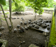 Centro Turístico Agroparque Mararay