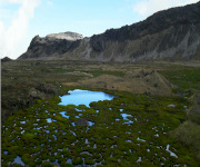 Fotos de Parque natural los nevados_0