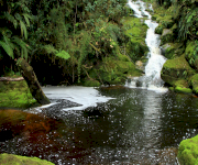 Fotos de Cueva de los Guacharos_5