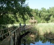 Fotos de Parque de la isla Salamanca_1