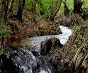 Foto_4_Parque Natural Macuira