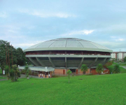 Foto_9_Coliseo del café