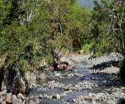 Fotos de Ecoparque Rio Pance_0