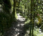 Fotos de Parque Ecológico Siete Cueros_0