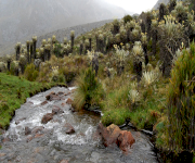 Foto_2_Parque Nacional Natural El Cocuy