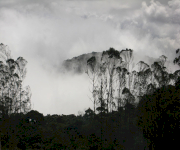 Fotos de Parque arqueológico y ecoturístico Boquemonte_0